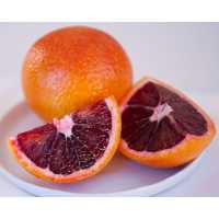 نهال پرتقال تامسون خونی | بازار قرمز